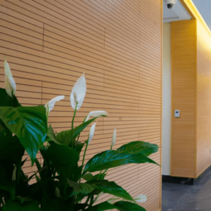 Linear Acoustic Wooden Panels for Superior Sound for walls and ceilings.